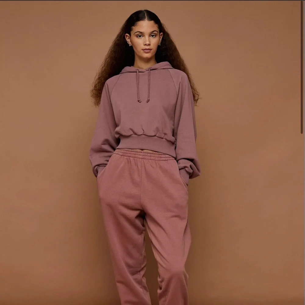 Topshop Crop Hoodie in Rose, Size 8-10 US, NWT